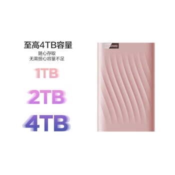 联想（Lenovo）1TB移动硬盘 USB3.0接口 2.5英寸机械硬盘 高速传输 多系统兼容 F309 Lite 锆石粉