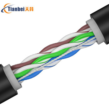 天背 cat5e超五类室外网线防水防冻防晒300米一卷 无氧铜监控网络线双层保护 TB-W102J