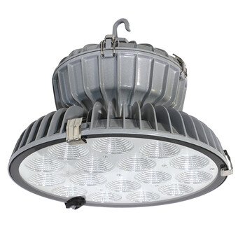 通明电器 TORMIN ZY8501-L80 LED高顶灯 厂房车间仓库场馆工业照明灯具 80W 可定制