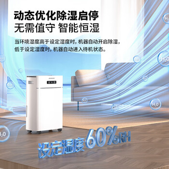 多乐信（DOROSIN）除湿机/抽湿机 除湿量21升/天 家用轻音地下室干衣除湿吸湿器 干燥机ER-620B 