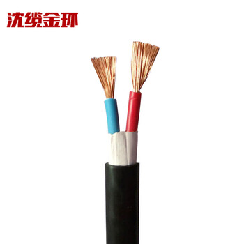 沈缆金环 ZR-RVVZ-0.6/1KV-2*2.5mm² 国标通信机房用阻燃软电缆 1米