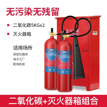 蓝炎 二氧化碳灭火器 机房精密仪器气体手提式5公斤干冰灭火器2具装箱子组合 消防器材 MT/5