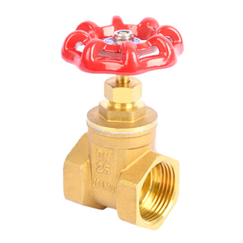 匡建仪表（CONJANT）铜截止阀 加厚黄铜 硬密封低进高出饱和蒸汽高温高压自来水阀门单向截门 DN25 