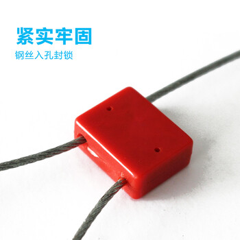 飞尔（FLYER）一次性铝合金封条 抽紧式铅封锁扣 物流油罐车集装箱铅封锁100条【23×18mm】