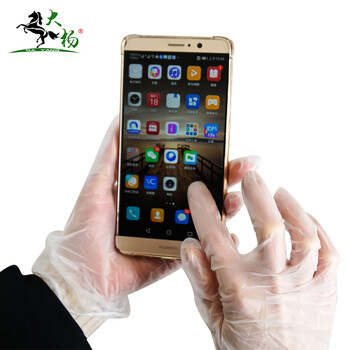 大杨030一次性PVC手套 100只/盒 M中码 触屏防滑透明隔离卫生无粉检查手套