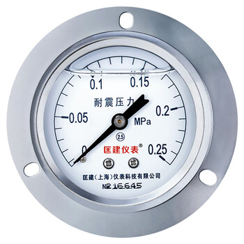 匡建仪表（CONJANT）YTN-60ZT 耐震压力表0-0.25mpa不锈钢液压表 轴向抗震高压螺纹14*1.5