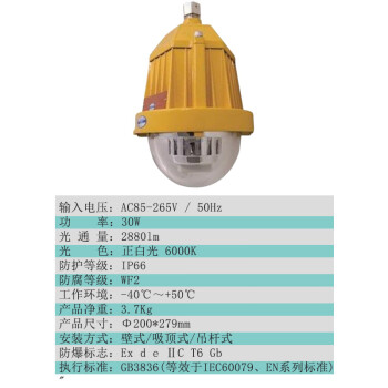 依客思（EKSFB）LED防爆平台灯 BPC8765 30W 白光