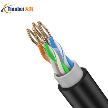 天背 cat6室外千兆六类网线防水防冻防晒300米一卷 8芯监控网络线双层保护 TB-W103J