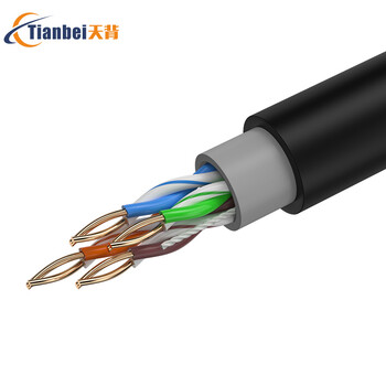 天背 cat5e超五类室外网线防水防冻防晒300米一卷 无氧铜监控网络线双层保护 TB-W102J