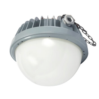 通明电器 TORMIN BC9302P-L50-200 LED防爆平台灯 加油站石油化工医药工厂泛光灯具 光束角200度50W