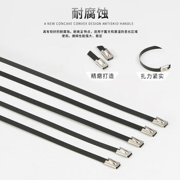 飞尔（FLYER）pvc包塑316不锈钢扎带 自锁式束线扎线带【黑色 5.6×250mm 100根/袋】