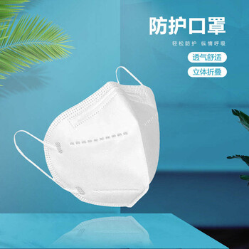 飞尔（FLYER）耳挂式一次性防护口罩 白色折叠式 N95口罩 5个装【10.5x15.5cm】