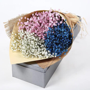 蓝色满天星鲜花粉色天星花束配送白色满天星盒装鲜花