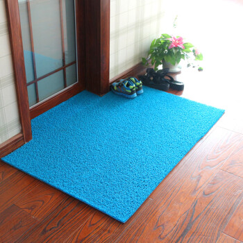 奥途  客厅门厅 地毯地垫 可定做 紫红色 1.2米款+10CM一个单位