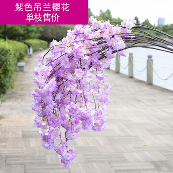 4叉吊篮樱花 紫色【图片 价格 品牌 报价-京东