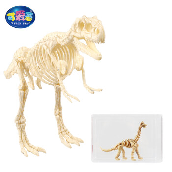 可爱客 考古挖掘玩具儿童恐龙化石探索模型 恐龙家族g