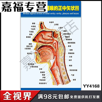 二级吊顶侧面结构图痣上面女生有嘴唇图片