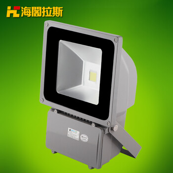 海阁拉斯 LED投光灯 70W100W户外景观照明灯具 70W七彩 220v