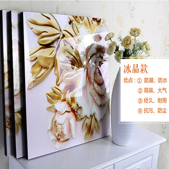 
                                        艺轩客厅装饰画冰晶无框画家和万事兴现代简约沙发背景墙餐厅卧室挂画九尾鱼 富贵有余 60*60/冰晶玻璃面                