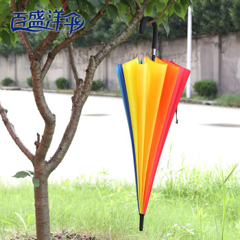 
                                                            百盛洋伞 加大防风16骨彩虹伞 长柄雨伞 双人情侣晴雨伞 男女通用自开 16K加大号                
