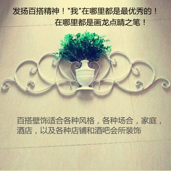 昶丰铁艺创意风格百搭墙面装饰壁挂品立体插花花瓶壁挂花架墙贴墙饰背景墙挂饰壁画壁饰花架花插 青铜色