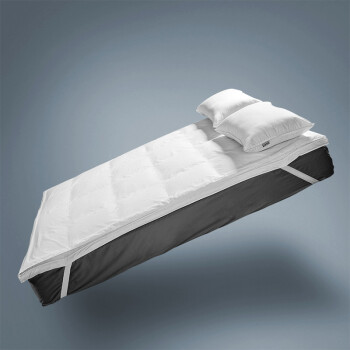 知茗 立体床垫床褥子白鸭绒垫舒适垫透气加厚保暖单双人床垫 舒适垫