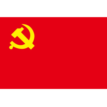 少先队旗 加厚中国五星红旗 定制公司旗 定做外国旗 党旗 4号(144cm×