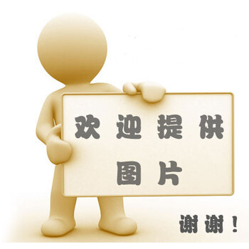 <em>才女之路</em>:女性写作的成功奥秘 陈才生著97875