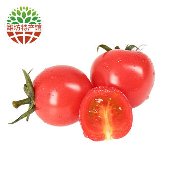 鸢语 新鲜蔬菜 圣女果 小西红柿 千禧 西红柿 产地直发 新鲜水果 5斤