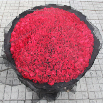 哈尔滨同城鲜花速递520朵999朵红玫瑰大花束求婚爱情表白生日祝福 521