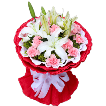 康乃馨鲜花花束送长辈妈妈生日萍乡鲜花店配送上门同城速递 11朵粉色
