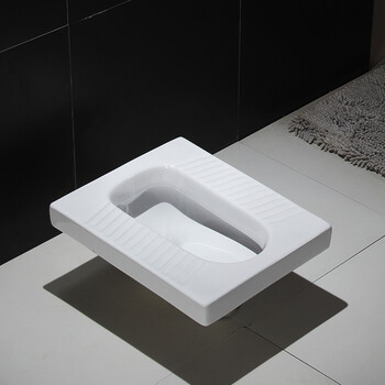 红菠萝卫浴PH-001 蹲坐便器带水箱套装 整套蹲