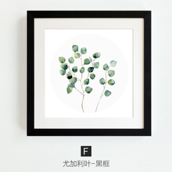 北欧电表箱装饰画玄关电表盒配电箱绿叶龟背竹菠萝挂画 f款:尤加利叶