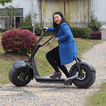 闪速哈雷电动车 哈雷风电瓶车电动滑板车 锂电