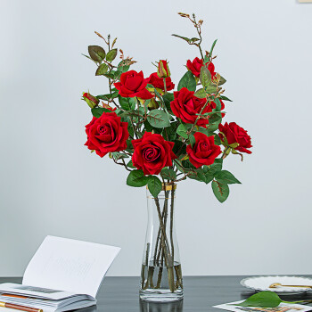 如一花开 插花玻璃透明花瓶 水培 玫瑰百合花插客厅餐桌花瓶摆件 5支