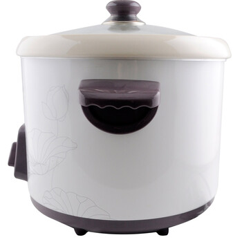 
                                        天际(TONZE)DDG-W320N电炖锅煲汤锅2L                