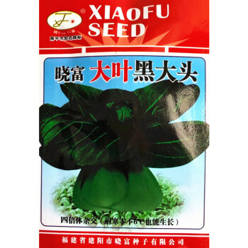 黑叶小白菜 鸡毛菜 蔬菜种子 阳台种菜盆栽高出芽率精装 大叶黑大头