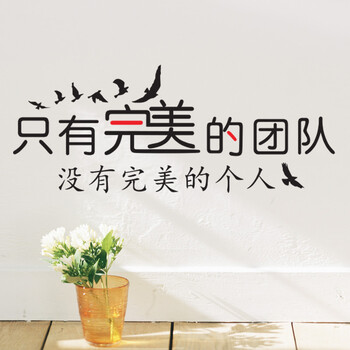 
                                        喜艾林 企业办公室励志团队意识口号标语 学生寝室集体荣誉墙贴纸 奋进贴画 F 完美团队 黑色+正红 特大                
