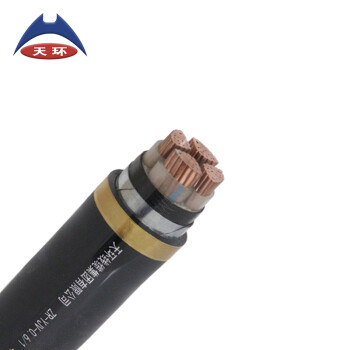 天环 YJV-0.6/1KV-4*2.5 低压铜芯电力电缆 1米 交期15天