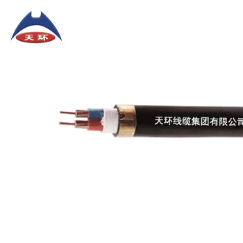 天环 YJV22-0.6/1KV-2*4 低压铜芯铠装电力电缆 1米 交期15天