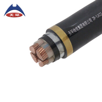 天环 YJV22-0.6/1KV-4*150 低压铜芯铠装电力电缆 1米 交期15天