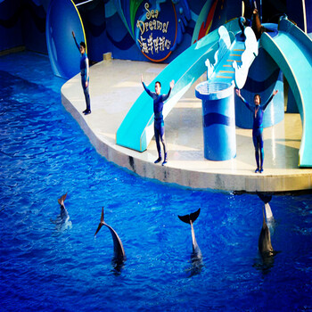 上海直飞香港四天三晚往返机票+三晚(四星)酒