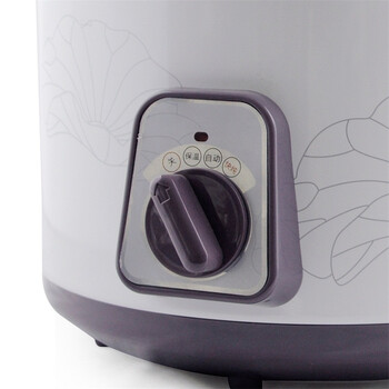
                                        天际(TONZE)DDG-W320N电炖锅煲汤锅2L                