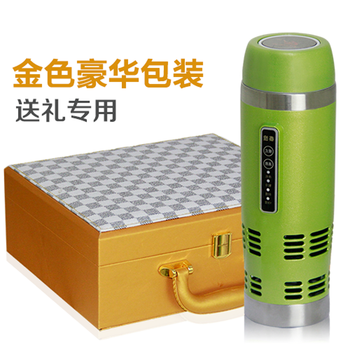 泰澄便携车载冰箱迷你微型 冷暖箱车载电热杯