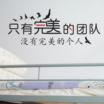 
                                        喜艾林 企业办公室励志团队意识口号标语 学生寝室集体荣誉墙贴纸 奋进贴画 F 完美团队 黑色+正红 特大                