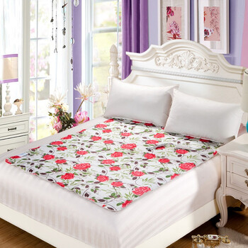 这个冬天不怕冷# 运河 电热毯 温馨单人玫瑰花150*70cm 49.9元(可199-100)