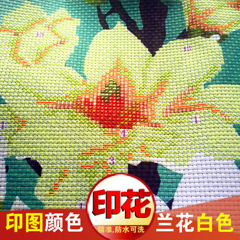 
                                                                                2022新款年自己手工刺绣枕头结婚小件简单十字绣抱枕一对情侣枕头套自绣车用抱枕套客厅沙发靠垫卧室靠枕 (2个枕套 无枕芯)枕套为46*46厘米                