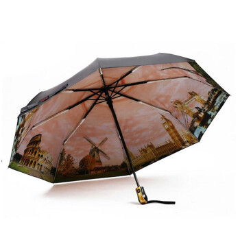 
                                        菲亚莉 雨伞 女 双层黑胶油画伞 晴雨两用Umbrella 紫色                