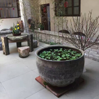 家用 睡莲盆 罐水无釉养乌龟鱼缸庭院 荷花缸土陶造景 大水缸 七夕 1