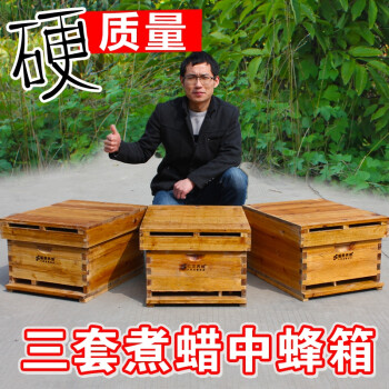 蜂箱蜜蜂中蜂箱全套煮蜡杉木蜜峰箱诱蜂桶批发养蜂专用工具3套装抖音